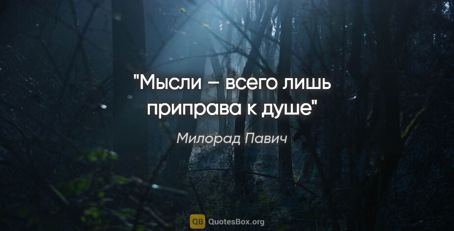 Милорад Павич цитата: "Мысли – всего лишь приправа к душе"