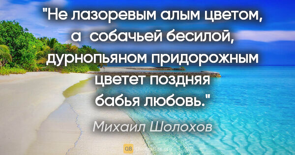 Михаил Шолохов цитата: "Не лазоревым алым цветом, а собачьей бесилой, дурнопьяном..."