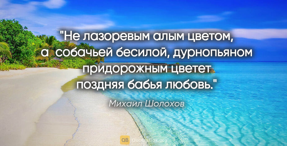 Михаил Шолохов цитата: "Не лазоревым алым цветом, а собачьей бесилой, дурнопьяном..."