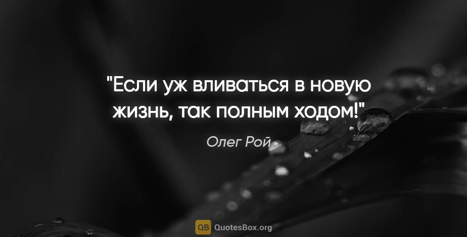 Олег Рой цитата: "Если уж вливаться в новую жизнь, так полным ходом!"