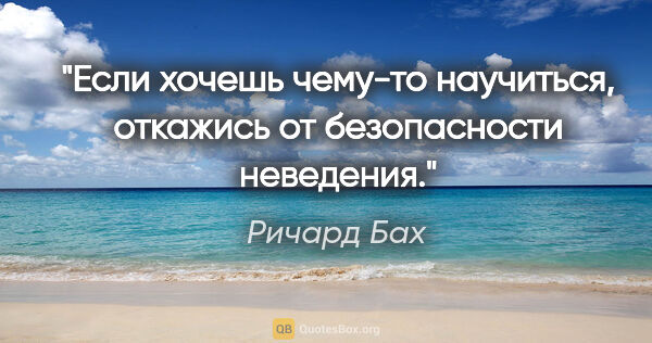 Ричард Бах цитата: "Если хочешь чему-то научиться, откажись от безопасности..."