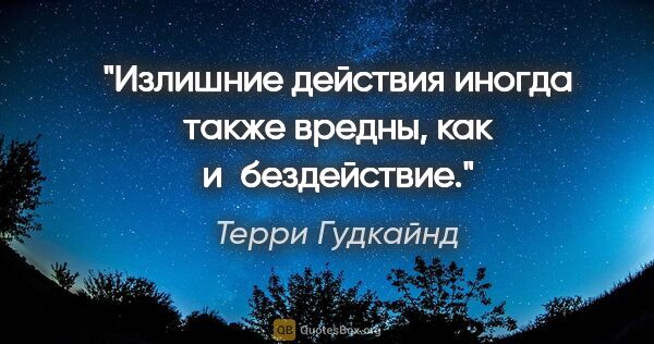 Терри Гудкайнд цитата: "Излишние действия иногда также вредны, как и бездействие."