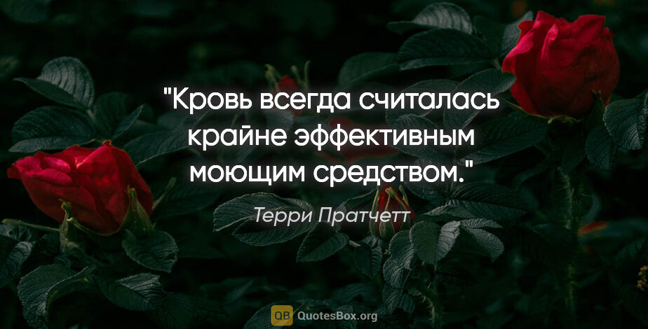 Терри Пратчетт цитата: "Кровь всегда считалась крайне эффективным моющим средством."