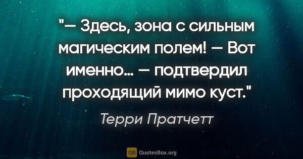 Терри Пратчетт цитата: "— Здесь, зона с сильным магическим полем!

— Вот именно… —..."