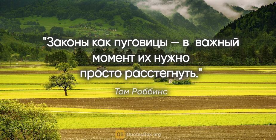 Том Роббинс цитата: "Законы как пуговицы — в важный момент их нужно просто..."