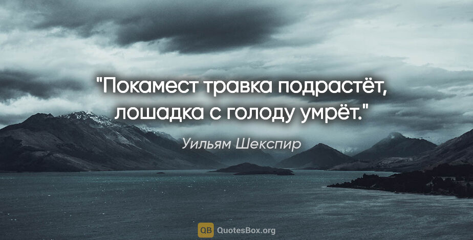 Уильям Шекспир цитата: "Покамест травка подрастёт, лошадка с голоду умрёт."