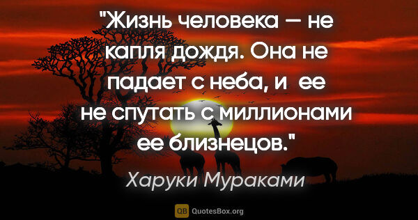 Харуки Мураками цитата: "Жизнь человека — не капля дождя. Она не падает с неба, и ее не..."