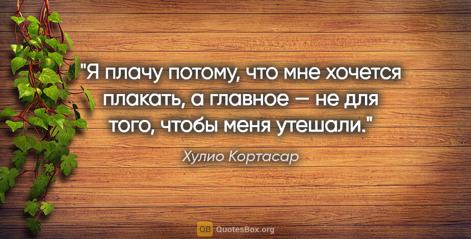 Хулио Кортасар цитата: "Я плачу потому, что мне хочется плакать, а главное — не для..."