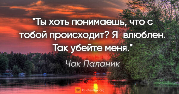 Чак Паланик цитата: "Ты хоть понимаешь, что с тобой происходит?

Я влюблен. Так..."