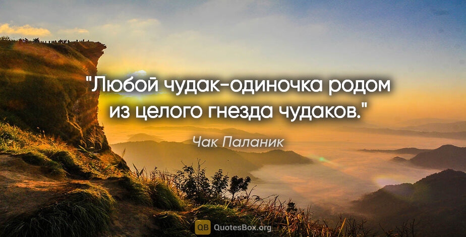 Чак Паланик цитата: "Любой чудак-одиночка родом из целого гнезда чудаков."