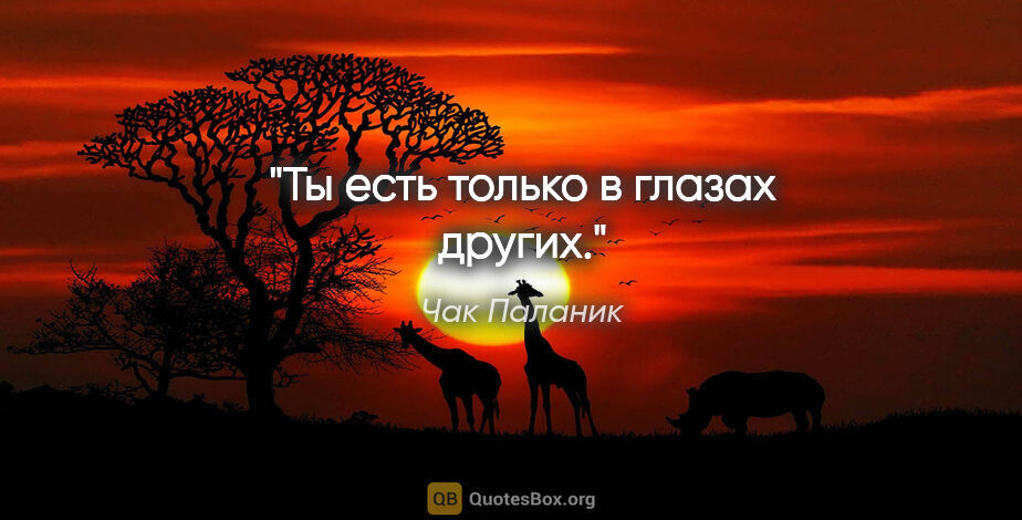 Чак Паланик цитата: "Ты есть только в глазах других."