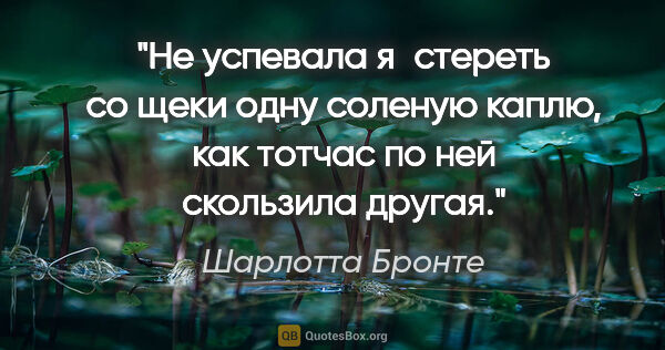 Шарлотта Бронте цитата: "Не успевала я стереть со щеки одну соленую каплю, как тотчас..."