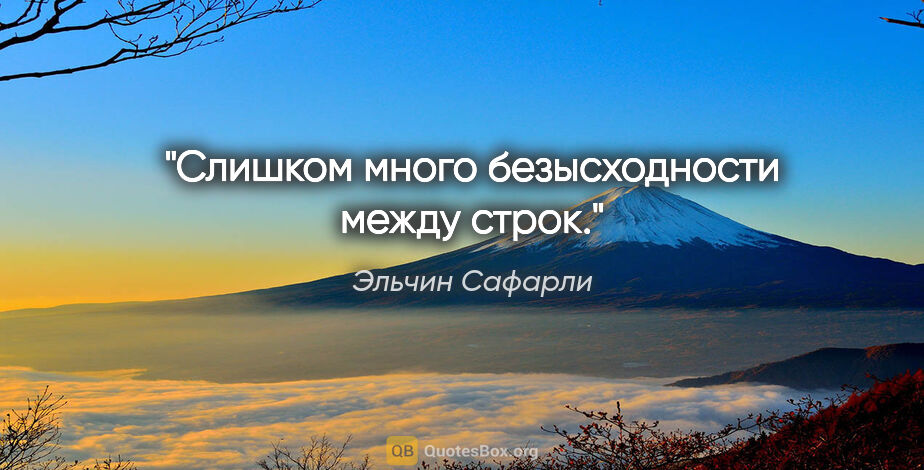 Эльчин Сафарли цитата: "Слишком много безысходности между строк."