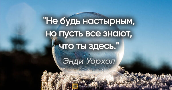 Энди Уорхол цитата: "Не будь настырным, но пусть все знают, что ты здесь."