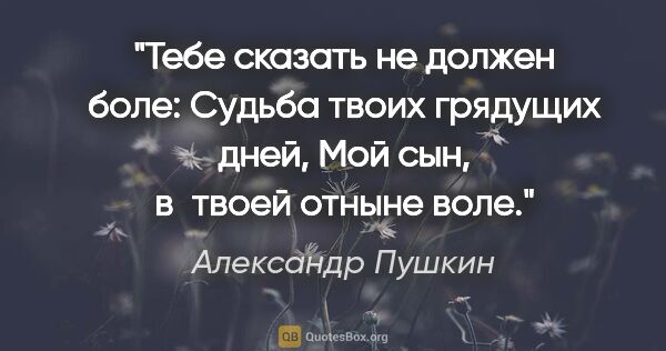 Александр Пушкин цитата: "Тебе сказать не должен боле:

Судьба твоих грядущих дней,

Мой..."