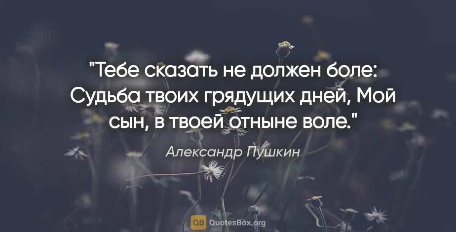 Александр Пушкин цитата: "Тебе сказать не должен боле:

Судьба твоих грядущих дней,

Мой..."