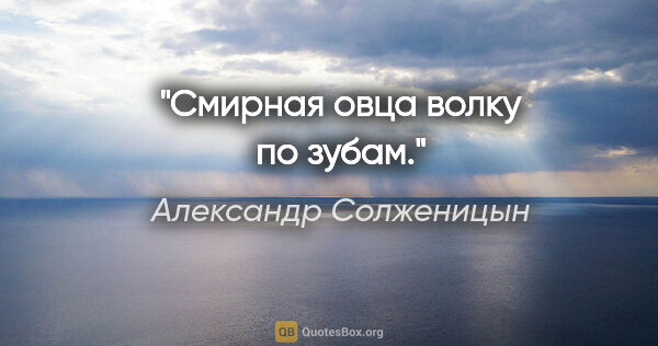 Александр Солженицын цитата: "Смирная овца волку по зубам."