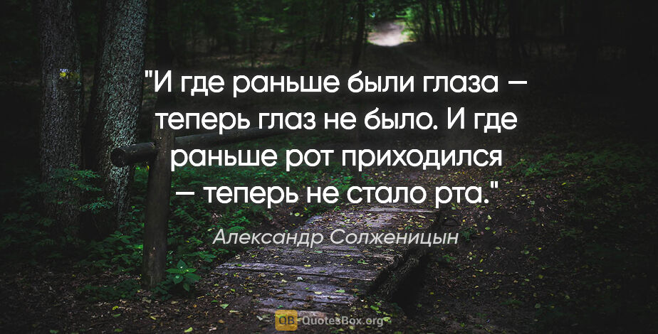 Александр Солженицын цитата: "И где раньше были глаза — теперь глаз не было. И где раньше..."