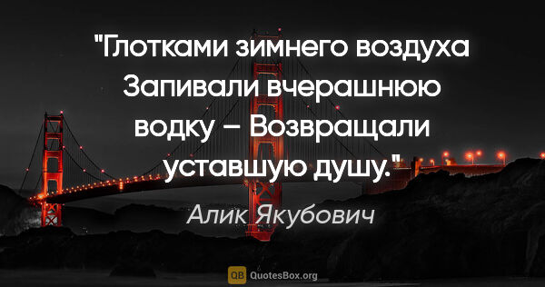 Алик Якубович цитата: "Глотками зимнего воздуха

Запивали вчерашнюю водку..."