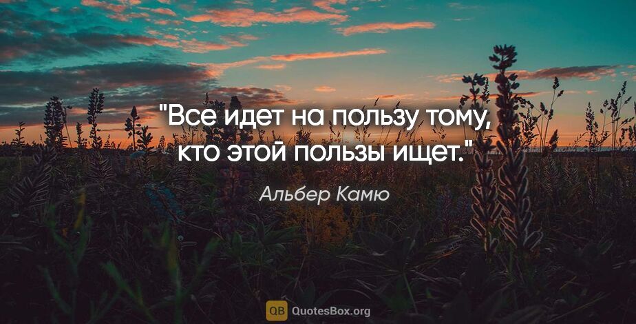 Альбер Камю цитата: "Все идет на пользу тому, кто этой пользы ищет."