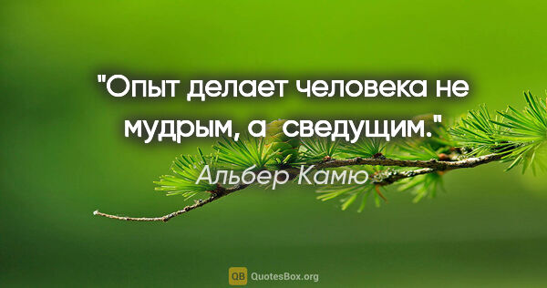 Альбер Камю цитата: "Опыт делает человека не мудрым, а сведущим."
