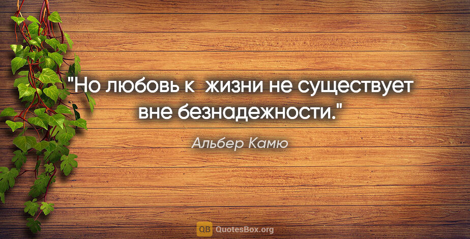 Альбер Камю цитата: "Но любовь к жизни не существует вне безнадежности."