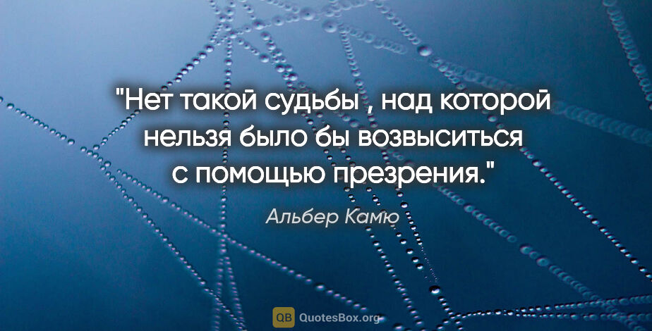 Альбер Камю цитата: "Нет такой судьбы , над которой нельзя было бы возвыситься с..."