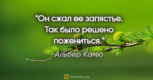 Альбер Камю цитата: "Он сжал ее запястье. Так было решено пожениться."