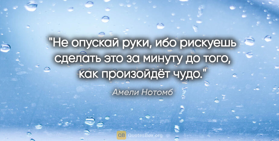 Амели Нотомб цитата: "Не опускай руки, ибо рискуешь сделать это за минуту до того,..."