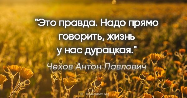 Чехов Антон Павлович цитата: "Это правда. Надо прямо говорить, жизнь у нас дурацкая."