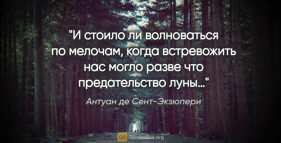 Антуан де Сент-Экзюпери цитата: "И стоило ли волноваться по мелочам, когда встревожить нас..."