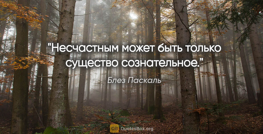 Блез Паскаль цитата: "Несчастным может быть только существо сознательное."