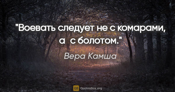 Вера Камша цитата: "Воевать следует не с комарами, а с болотом."