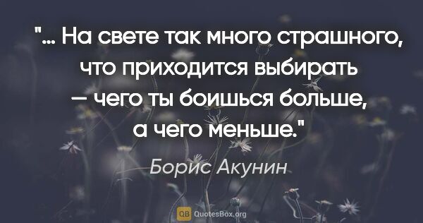 Борис Акунин цитата: "… На свете так много страшного, что приходится выбирать — чего..."