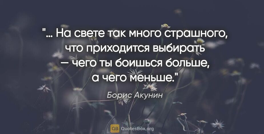 Борис Акунин цитата: "… На свете так много страшного, что приходится выбирать — чего..."