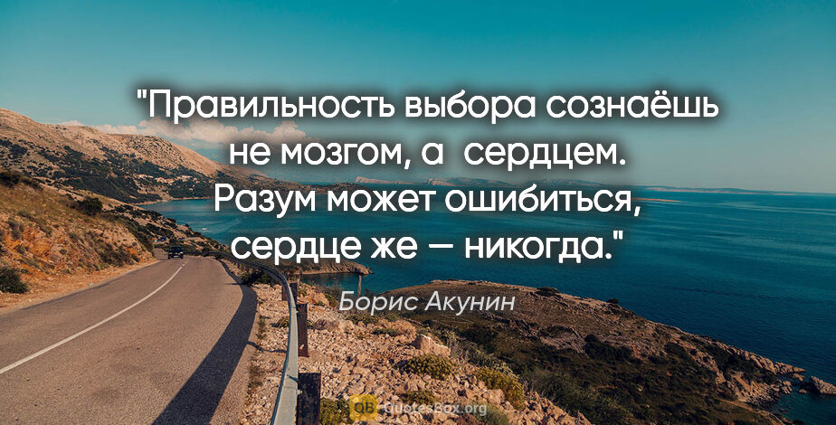 Борис Акунин цитата: "Правильность выбора сознаёшь не мозгом, а сердцем. Разум может..."