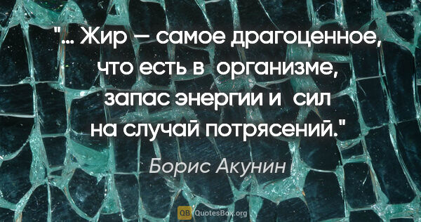 Борис Акунин цитата: "… Жир — самое драгоценное, что есть в организме, запас энергии..."