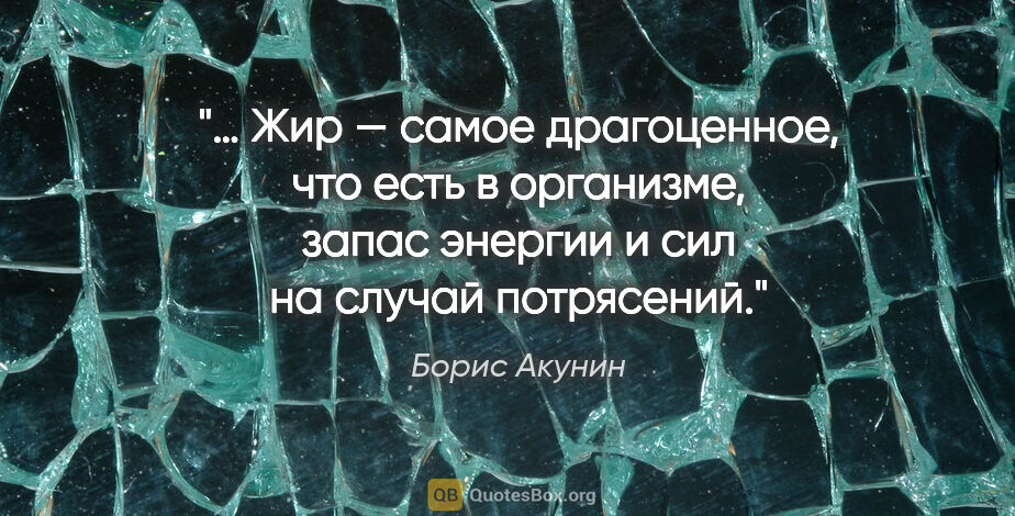 Борис Акунин цитата: "… Жир — самое драгоценное, что есть в организме, запас энергии..."