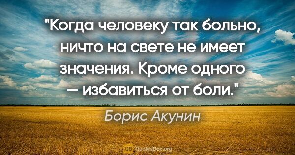 Борис Акунин цитата: "Когда человеку так больно, ничто на свете не имеет значения...."