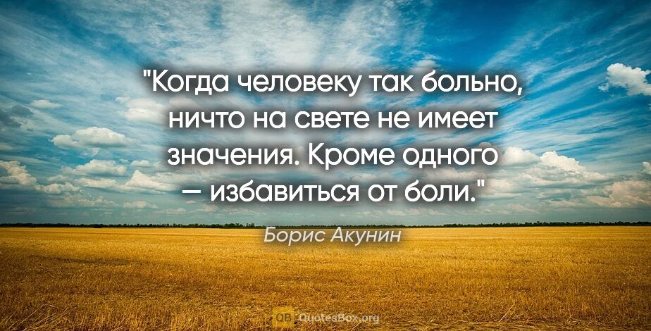 Борис Акунин цитата: "Когда человеку так больно, ничто на свете не имеет значения...."