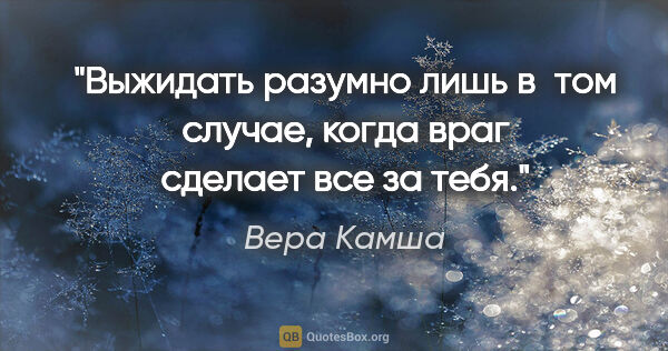 Вера Камша цитата: "Выжидать разумно лишь в том случае, когда враг сделает все за..."