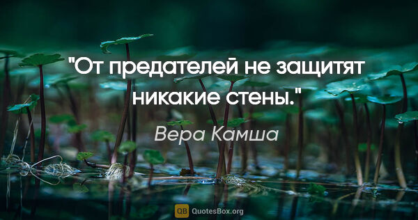 Вера Камша цитата: "От предателей не защитят никакие стены."