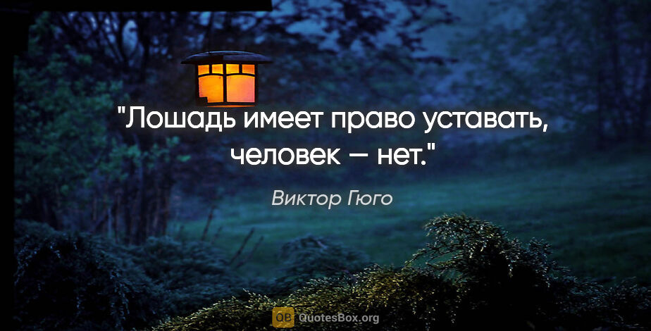 Виктор Гюго цитата: "Лошадь имеет право уставать, человек — нет."