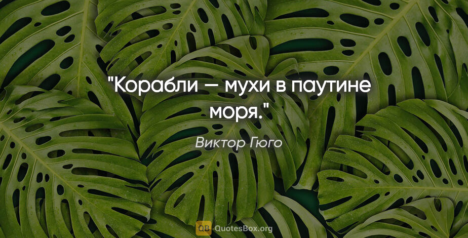 Виктор Гюго цитата: "Корабли — мухи в паутине моря."