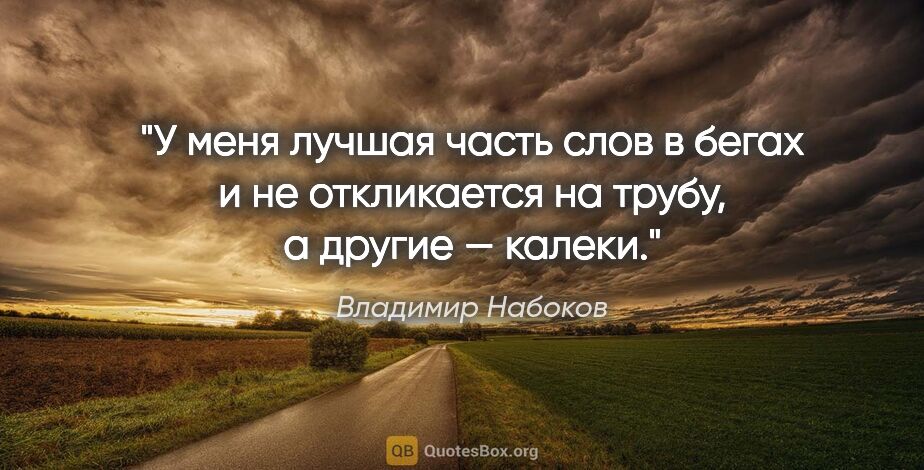 Владимир Набоков цитата: "У меня лучшая часть слов в бегах и не откликается на трубу,..."