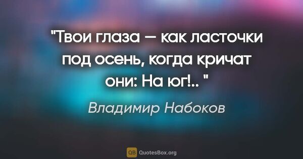 Владимир Набоков цитата: "Твои глаза — как ласточки под осень,

когда кричат они: «На..."