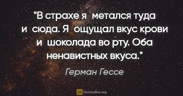 Герман Гессе цитата: "В страхе я метался туда и сюда. Я ощущал вкус крови и шоколада..."