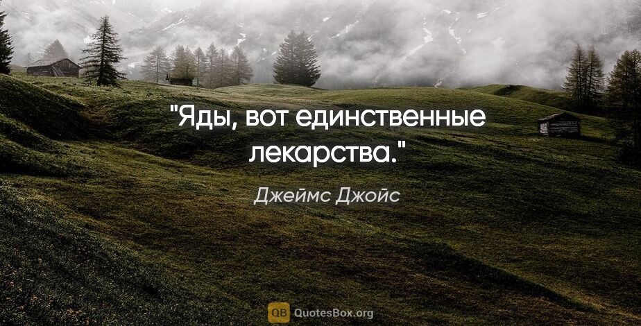 Джеймс Джойс цитата: "Яды, вот единственные лекарства."