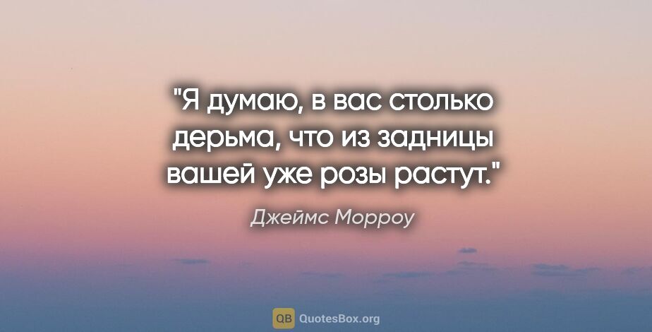 Джеймс Морроу цитата: "Я думаю, в вас столько дерьма, что из задницы вашей уже розы..."