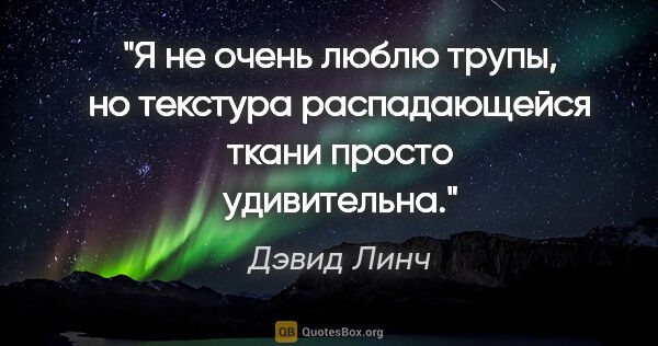 Дэвид Линч цитата: "Я не очень люблю трупы, но текстура распадающейся ткани просто..."